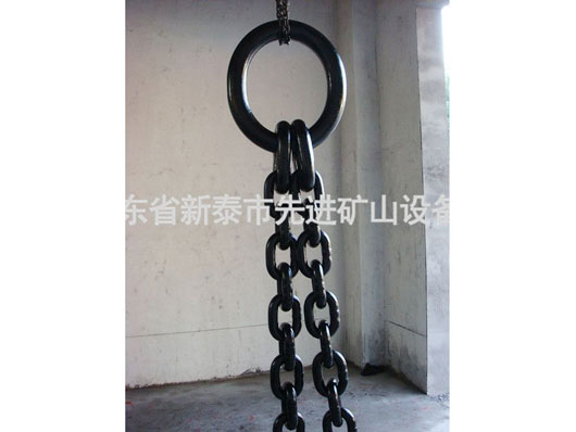c(din)鿴Ԕ(x)Ϣ(bio)}100 tons double limb sling xΔ(sh)2303